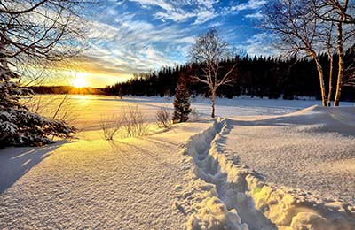 aromathérapie pour l'hiver