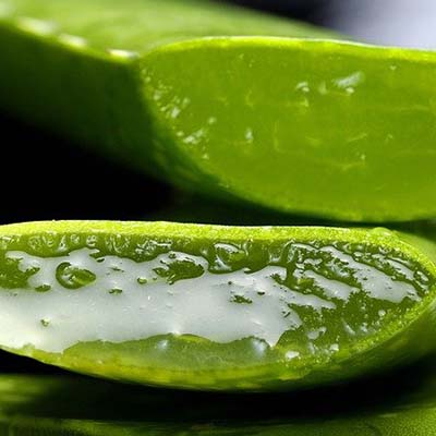 soin visage à l'Aloe Vera