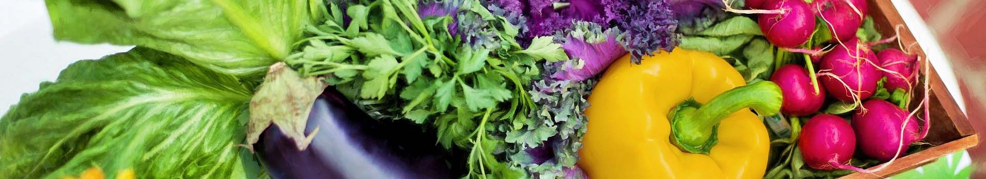 ateliers alimentation saine